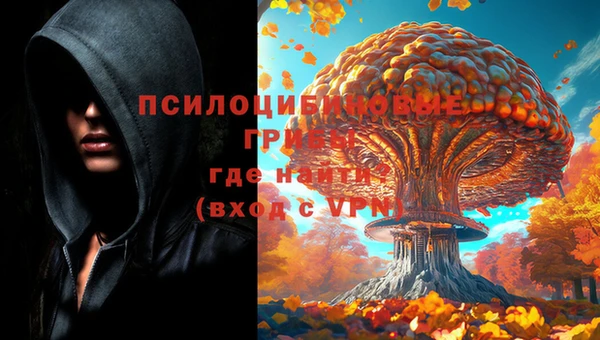 прущая мука Абаза