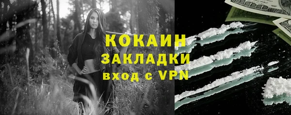 меф Няндома