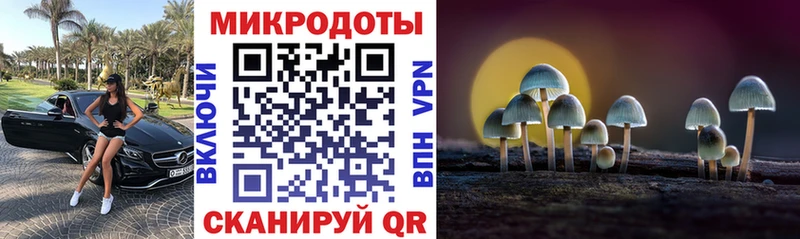 Галлюциногенные грибы GOLDEN TEACHER  Пенза 